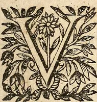 Picture 25 of 104 from [Théâtre de Rotrou] (1636), leaf 74