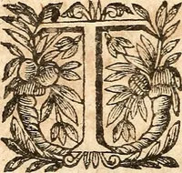 Picture 29 of 104 from [Théâtre de Rotrou] (1636), leaf 85