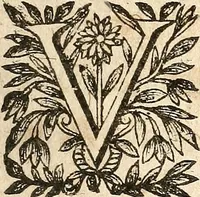 Picture 30 of 104 from [Théâtre de Rotrou] (1636), leaf 90