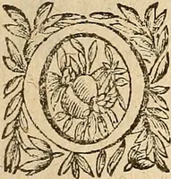 Picture 20 of 52 from [Théâtre de Rotrou] (1636), leaf 212