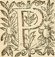 Picture 25 of 52 from [Théâtre de Rotrou] (1636), leaf 227
