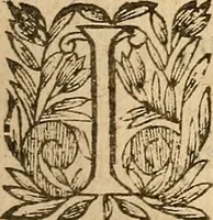 Picture 28 of 52 from [Théâtre de Rotrou] (1636), leaf 248