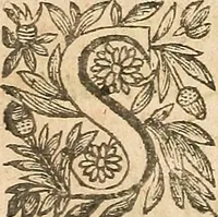 An illustration from [Théâtre de Rotrou] (1636)