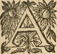 Picture 31 of 52 from [Théâtre de Rotrou] (1636), leaf 262
