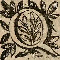 Picture 13 of 33 from [Théâtre de Rotrou] (1636), leaf 157