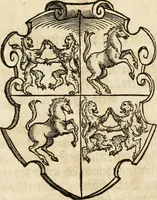 An illustration from Thurnier Buch : von Anfang, Vrsachen, Vrsprung vnd Herkommen der Thurnier im Heyligen Römischen Reich Teutscher Nation, wie viel offentlicher Landthurnier von Keyser Heinrich dem Ersten dieses Namens an biss auff den jetztregierenden Keyser Maximilian den Andern ... vnd in welchen Stetten die alle gehalten ... Alles jetzunder von neuwem zusammen getragen, mit schönen neuwen Figuren, sonderlich auch der adelischen Wappen, auffs schönest zugericht .. (1566)