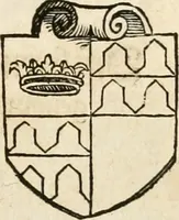 An illustration from Thurnier Buch : von Anfang, Vrsachen, Vrsprung vnd Herkommen der Thurnier im Heyligen Römischen Reich Teutscher Nation, wie viel offentlicher Landthurnier von Keyser Heinrich dem Ersten dieses Namens an biss auff den jetztregierenden Keyser Maximilian den Andern ... vnd in welchen Stetten die alle gehalten ... Alles jetzunder von neuwem zusammen getragen, mit schönen neuwen Figuren, sonderlich auch der adelischen Wappen, auffs schönest zugericht .. (1566)