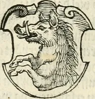 An illustration from Thurnier Buch : von Anfang, Vrsachen, Vrsprung vnd Herkommen der Thurnier im Heyligen Römischen Reich Teutscher Nation, wie viel offentlicher Landthurnier von Keyser Heinrich dem Ersten dieses Namens an biss auff den jetztregierenden Keyser Maximilian den Andern ... vnd in welchen Stetten die alle gehalten ... Alles jetzunder von neuwem zusammen getragen, mit schönen neuwen Figuren, sonderlich auch der adelischen Wappen, auffs schönest zugericht .. (1566)