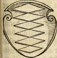 An illustration from Thurnier Buch : von Anfang, Vrsachen, Vrsprung vnd Herkommen der Thurnier im Heyligen Römischen Reich Teutscher Nation, wie viel offentlicher Landthurnier von Keyser Heinrich dem Ersten dieses Namens an biss auff den jetztregierenden Keyser Maximilian den Andern ... vnd in welchen Stetten die alle gehalten ... Alles jetzunder von neuwem zusammen getragen, mit schönen neuwen Figuren, sonderlich auch der adelischen Wappen, auffs schönest zugericht .. (1566)