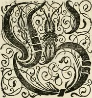 An illustration from Thurnier Buch : von Anfang, Vrsachen, Vrsprung vnd Herkommen der Thurnier im Heyligen Römischen Reich Teutscher Nation, wie viel offentlicher Landthurnier von Keyser Heinrich dem Ersten dieses Namens an biss auff den jetztregierenden Keyser Maximilian den Andern ... vnd in welchen Stetten die alle gehalten ... Alles jetzunder von neuwem zusammen getragen, mit schönen neuwen Figuren, sonderlich auch der adelischen Wappen, auffs schönest zugericht .. (1566)
