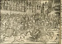 An illustration from Thurnier Buch : von Anfang, Vrsachen, Vrsprung vnd Herkommen der Thurnier im Heyligen Römischen Reich Teutscher Nation, wie viel offentlicher Landthurnier von Keyser Heinrich dem Ersten dieses Namens an biss auff den jetztregierenden Keyser Maximilian den Andern ... vnd in welchen Stetten die alle gehalten ... Alles jetzunder von neuwem zusammen getragen, mit schönen neuwen Figuren, sonderlich auch der adelischen Wappen, auffs schönest zugericht .. (1566)