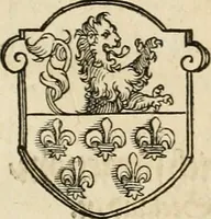 An illustration from Thurnier Buch : von Anfang, Vrsachen, Vrsprung vnd Herkommen der Thurnier im Heyligen Römischen Reich Teutscher Nation, wie viel offentlicher Landthurnier von Keyser Heinrich dem Ersten dieses Namens an biss auff den jetztregierenden Keyser Maximilian den Andern ... vnd in welchen Stetten die alle gehalten ... Alles jetzunder von neuwem zusammen getragen, mit schönen neuwen Figuren, sonderlich auch der adelischen Wappen, auffs schönest zugericht .. (1566)