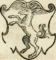An illustration from Thurnier Buch : von Anfang, Vrsachen, Vrsprung vnd Herkommen der Thurnier im Heyligen Römischen Reich Teutscher Nation, wie viel offentlicher Landthurnier von Keyser Heinrich dem Ersten dieses Namens an biss auff den jetztregierenden Keyser Maximilian den Andern ... vnd in welchen Stetten die alle gehalten ... Alles jetzunder von neuwem zusammen getragen, mit schönen neuwen Figuren, sonderlich auch der adelischen Wappen, auffs schönest zugericht .. (1566)