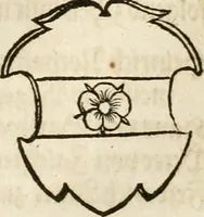 Picture 205 of 297 from Thurnier Buch : von Anfang, Vrsachen, Vrsprung vnd Herkommen der Thurnier im Heyligen Römischen Reich Teutscher Nation, wie viel offentlicher Landthurnier von Keyser Heinrich dem Ersten dieses Namens an biss auff den jetztregierenden Keyser Maximilian den Andern ... vnd in welchen Stetten die alle gehalten ... Alles jetzunder von neuwem zusammen getragen, mit schönen neuwen Figuren, sonderlich auch der adelischen Wappen, auffs schönest zugericht .. (1566), leaf 352