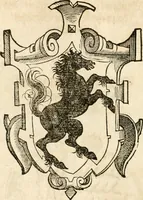 An illustration from Thurnier Buch : von Anfang, Vrsachen, Vrsprung vnd Herkommen der Thurnier im Heyligen Römischen Reich Teutscher Nation, wie viel offentlicher Landthurnier von Keyser Heinrich dem Ersten dieses Namens an biss auff den jetztregierenden Keyser Maximilian den Andern ... vnd in welchen Stetten die alle gehalten ... Alles jetzunder von neuwem zusammen getragen, mit schönen neuwen Figuren, sonderlich auch der adelischen Wappen, auffs schönest zugericht .. (1566)