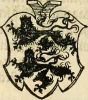 An illustration from Thurnier Buch : von Anfang, Vrsachen, Vrsprung vnd Herkommen der Thurnier im Heyligen Römischen Reich Teutscher Nation, wie viel offentlicher Landthurnier von Keyser Heinrich dem Ersten dieses Namens an biss auff den jetztregierenden Keyser Maximilian den Andern ... vnd in welchen Stetten die alle gehalten ... Alles jetzunder von neuwem zusammen getragen, mit schönen neuwen Figuren, sonderlich auch der adelischen Wappen, auffs schönest zugericht .. (1566)