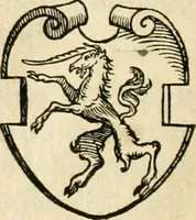An illustration from Thurnier Buch : von Anfang, Vrsachen, Vrsprung vnd Herkommen der Thurnier im Heyligen Römischen Reich Teutscher Nation, wie viel offentlicher Landthurnier von Keyser Heinrich dem Ersten dieses Namens an biss auff den jetztregierenden Keyser Maximilian den Andern ... vnd in welchen Stetten die alle gehalten ... Alles jetzunder von neuwem zusammen getragen, mit schönen neuwen Figuren, sonderlich auch der adelischen Wappen, auffs schönest zugericht .. (1566)