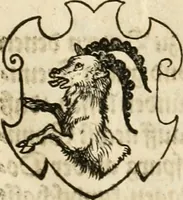 An illustration from Thurnier Buch : von Anfang, Vrsachen, Vrsprung vnd Herkommen der Thurnier im Heyligen Römischen Reich Teutscher Nation, wie viel offentlicher Landthurnier von Keyser Heinrich dem Ersten dieses Namens an biss auff den jetztregierenden Keyser Maximilian den Andern ... vnd in welchen Stetten die alle gehalten ... Alles jetzunder von neuwem zusammen getragen, mit schönen neuwen Figuren, sonderlich auch der adelischen Wappen, auffs schönest zugericht .. (1566)