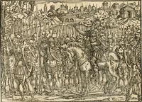 An illustration from Thurnier Buch : von Anfang, Vrsachen, Vrsprung vnd Herkommen der Thurnier im Heyligen Römischen Reich Teutscher Nation, wie viel offentlicher Landthurnier von Keyser Heinrich dem Ersten dieses Namens an biss auff den jetztregierenden Keyser Maximilian den Andern ... vnd in welchen Stetten die alle gehalten ... Alles jetzunder von neuwem zusammen getragen, mit schönen neuwen Figuren, sonderlich auch der adelischen Wappen, auffs schönest zugericht .. (1566)