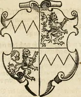 An illustration from Thurnier Buch : von Anfang, Vrsachen, Vrsprung vnd Herkommen der Thurnier im Heyligen Römischen Reich Teutscher Nation, wie viel offentlicher Landthurnier von Keyser Heinrich dem Ersten dieses Namens an biss auff den jetztregierenden Keyser Maximilian den Andern ... vnd in welchen Stetten die alle gehalten ... Alles jetzunder von neuwem zusammen getragen, mit schönen neuwen Figuren, sonderlich auch der adelischen Wappen, auffs schönest zugericht .. (1566)