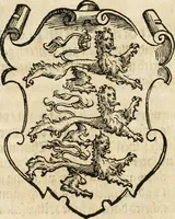 An illustration from Thurnier Buch : von Anfang, Vrsachen, Vrsprung vnd Herkommen der Thurnier im Heyligen Römischen Reich Teutscher Nation, wie viel offentlicher Landthurnier von Keyser Heinrich dem Ersten dieses Namens an biss auff den jetztregierenden Keyser Maximilian den Andern ... vnd in welchen Stetten die alle gehalten ... Alles jetzunder von neuwem zusammen getragen, mit schönen neuwen Figuren, sonderlich auch der adelischen Wappen, auffs schönest zugericht .. (1566)