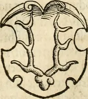 An illustration from Thurnier Buch : von Anfang, Vrsachen, Vrsprung vnd Herkommen der Thurnier im Heyligen Römischen Reich Teutscher Nation, wie viel offentlicher Landthurnier von Keyser Heinrich dem Ersten dieses Namens an biss auff den jetztregierenden Keyser Maximilian den Andern ... vnd in welchen Stetten die alle gehalten ... Alles jetzunder von neuwem zusammen getragen, mit schönen neuwen Figuren, sonderlich auch der adelischen Wappen, auffs schönest zugericht .. (1566)