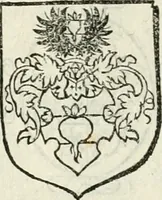 Picture 30 of 69 from Thurnier Buch, warhafftiger ritterlicher Thate : so in dem Monat Junij des vergangnen LX. Jars in vnd ausserhalb der Statt Wienn zu Ross vnd zu Fuess, auff Wasser vnd Lannd gehalten worden, mit schönen Figuren contrafeet : vnd dem Allerdurchleuchtigisten, Grossmechtigisten Fürsten vnnd Herrn, Herren Ferdinando, erweltem Römischen Kayser ... (1561), leaf 17