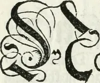 Picture 67 of 69 from Thurnier Buch, warhafftiger ritterlicher Thate : so in dem Monat Junij des vergangnen LX. Jars in vnd ausserhalb der Statt Wienn zu Ross vnd zu Fuess, auff Wasser vnd Lannd gehalten worden, mit schönen Figuren contrafeet : vnd dem Allerdurchleuchtigisten, Grossmechtigisten Fürsten vnnd Herrn, Herren Ferdinando, erweltem Römischen Kayser ... (1561), leaf 186