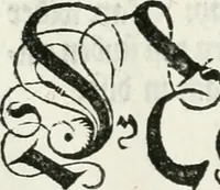 Picture 53 of 69 from Thurnier Buch, warhafftiger ritterlicher Thate : so in dem Monat Junij des vergangnen LX. Jars in vnd ausserhalb der Statt Wienn zu Ross vnd zu Fuess, auff Wasser vnd Lannd gehalten worden, mit schönen Figuren contrafeet : vnd dem Allerdurchleuchtigisten, Grossmechtigisten Fürsten vnnd Herrn, Herren Ferdinando, erweltem Römischen Kayser ... (1561), leaf 70