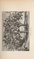 An illustration from Timbouctou, voyage au Maroc au Sahara et au Soudan (1886)