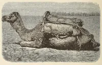 An illustration from Timbouctou, voyage au Maroc au Sahara et au Soudan (1886)