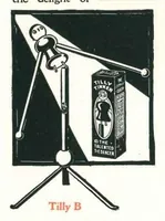 Picture 10 of 13 from Tinker Toys 1924 (1924), leaf 15