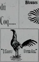 An illustration from Tissus et nouveauts 1900 (1900)