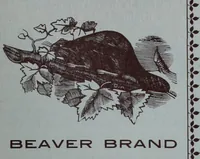 An illustration from Tissus et nouveauts 1900 (1900)