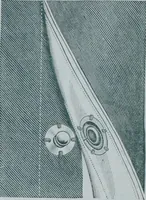 An illustration from Tissus et nouveauts 1900 (1900)