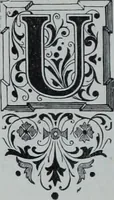 An illustration from Tissus et nouveauts 1900 (1900)