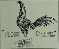 Picture 24 of 320 from Tissus et nouveauts 1900 (1900), leaf 44