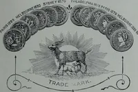 Picture 306 of 320 from Tissus et nouveauts 1900 (1900), leaf 470