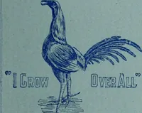 Picture 48 of 320 from Tissus et nouveauts 1900 (1900), leaf 80