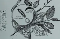 Picture 3 of 402 from Tissus et nouveauts 1901 (1901), leaf 10