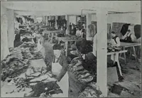 Picture 147 of 402 from Tissus et nouveauts 1901 (1901), leaf 221