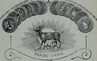 Picture 167 of 402 from Tissus et nouveauts 1901 (1901), leaf 244