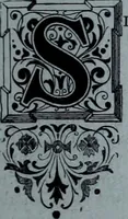 Picture 172 of 402 from Tissus et nouveauts 1901 (1901), leaf 256