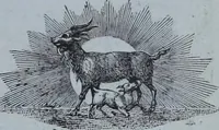 Picture 182 of 402 from Tissus et nouveauts 1901 (1901), leaf 278