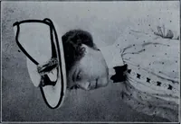 Picture 225 of 402 from Tissus et nouveauts 1901 (1901), leaf 358