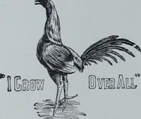 Picture 249 of 402 from Tissus et nouveauts 1901 (1901), leaf 389