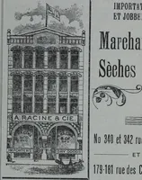 Picture 342 of 402 from Tissus et nouveauts 1901 (1901), leaf 546