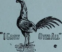 Picture 402 of 402 from Tissus et nouveauts 1901 (1901), leaf 646