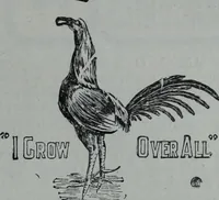 Picture 111 of 385 from Tissus et nouveauts 1902 (1902), leaf 122