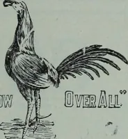 An illustration from Tissus et nouveauts 1902 (1902)